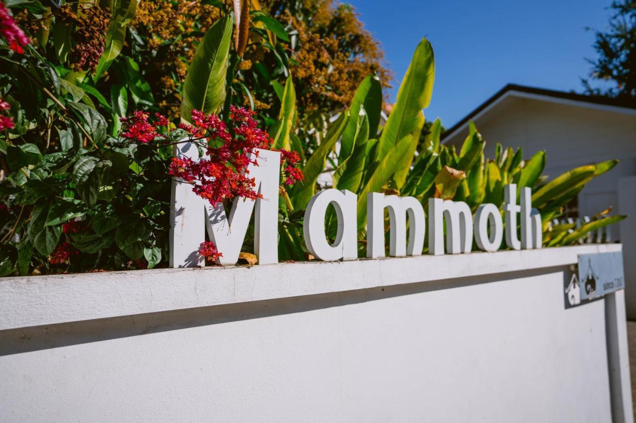 Mammoth Boutique Hotel Chiang Mai Exteriör bild